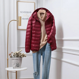 Steppjacke – Produktansicht 11